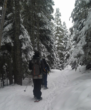 snowshoeing barlow butte