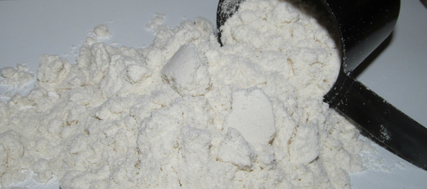 paleo protein powder - alkalizing your protein shake